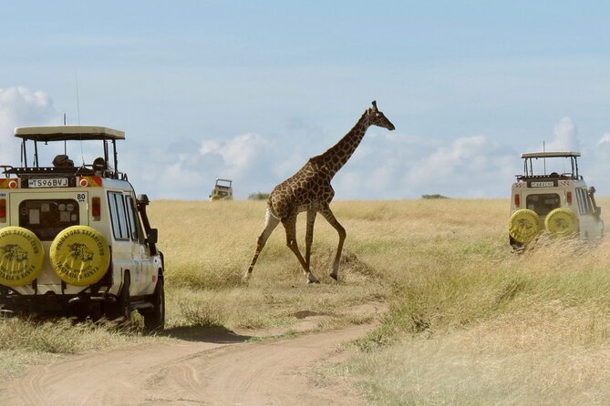 3 Days Camping Tour to Maasai Mara With 4x4 Landcruiser Jeep - Itinerary Overview