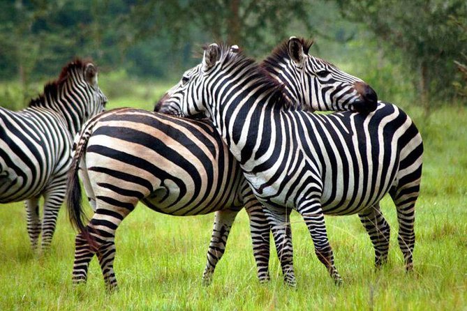 3 Days Hiking Safari To Mountain Elgon Sipi Hiking - Meeting and Pickup