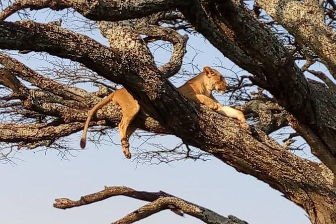 3 Days Ngorongoro-Lake Manyara - Accommodation Details