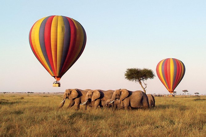 3 Days PRIVATE LUXURY SAFARI to Masai Mara From Nairobi - Itinerary Overview