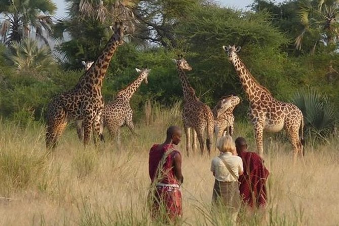 3 Days Private Masai Mara National Reserve Safari
