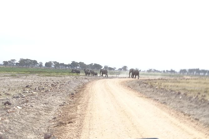 3 Days Safari Start in Nairobi - Amboseli - Tsavo West - End in Mombasa - Pickup and Logistics