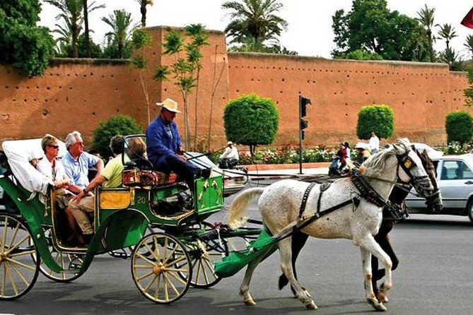 3 Hour Marrakech Private Walking Tour - Price and Group Size