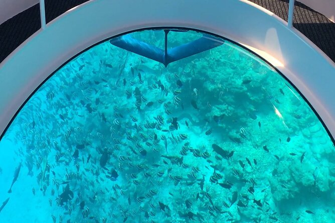 3-Hour Private Glass-Bottom Boat Tour With Snorkeling in Hurghada - Pickup Details