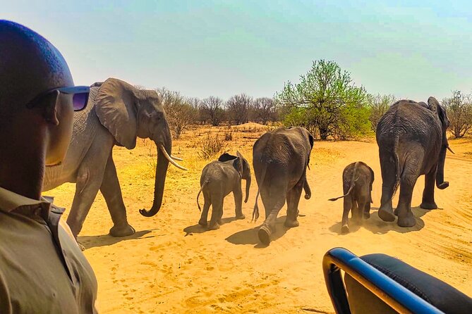 3-Hour Zambezi National Park Safari in 4x4 Jeep - Booking Details and Payment Options