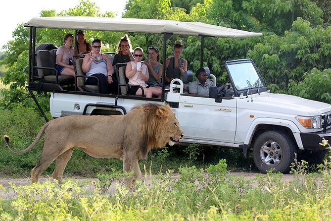 3 Hours Chobe Game Drive Safari, Botswana