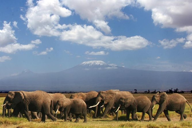 4-Day Diani to Tsavo West, Amboseli &Tsavo East - Itinerary Overview