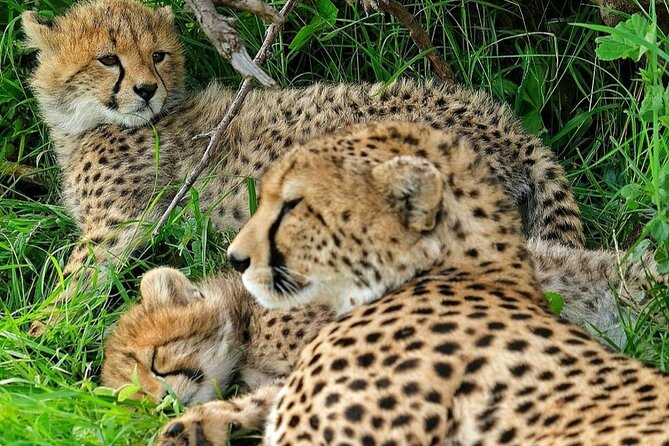 4-Day Masai Mara Safari Adventure - Packing List