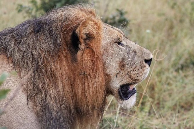 4-Day Okavango Delta & Boteti River Tented Safari