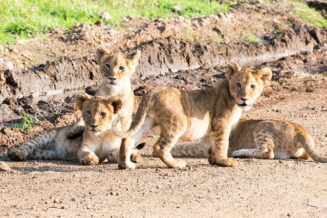 4 Days/3 Nights Adventure in Maasai Mara – Lake Nakur - Meal Plan and Dining Options