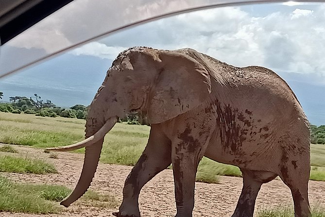 4 Days Amboseli Explorer - Tour Itinerary