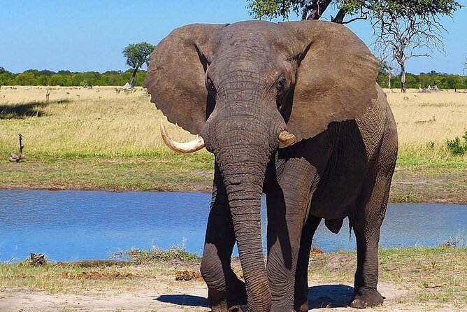 4 Days Budget Mid Range Safari Tour Tanzania