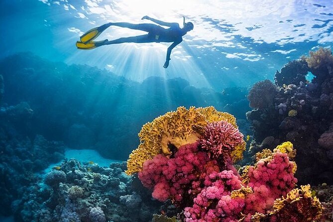 4 Hours on Orange Island by Speedboat With Snorkeling & Water Sports - Inclusions and Exclusions