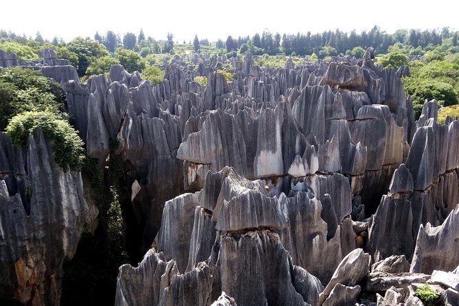 4 Nights 5 Days Yunnan Private Tour From Kunming to Yuanyang and Jianshui - Frequently Asked Questions