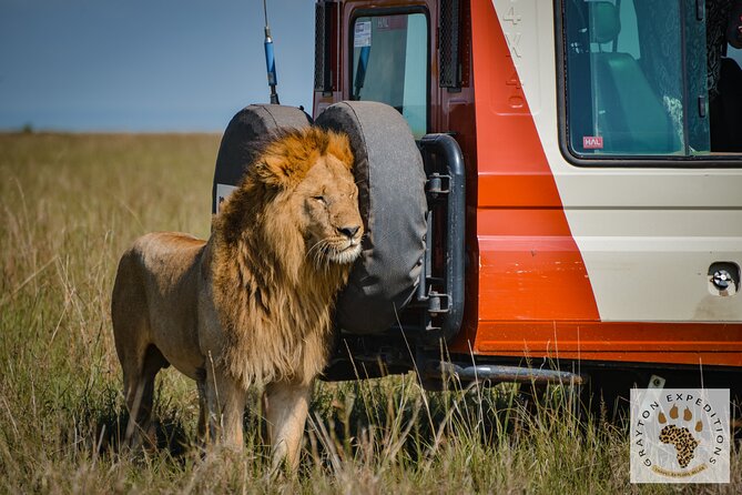 5-Day 4 Nights Masai Mara-L Nakuru-Hells Gate Budget Safari