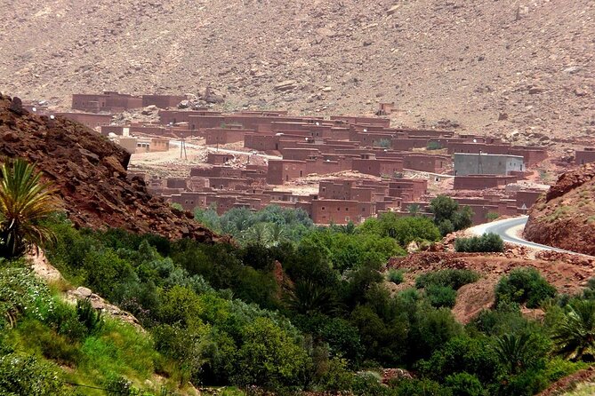 5-Day Atlas Mountains Trek and Sahara Desert Tour - Operator Details