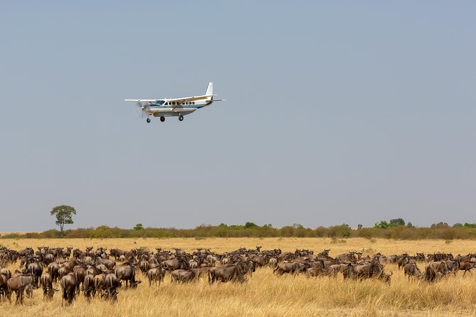 5-Day Maasai Mara Fly In Safari - Pickup Information
