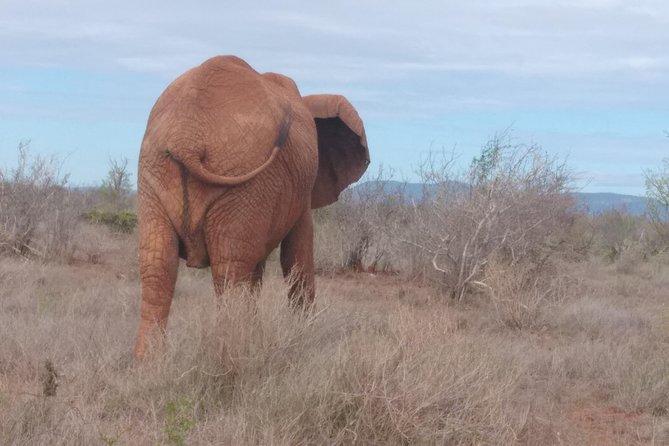 5 Days Masai Mara Safaris + Lake Nakuru - Itinerary Overview