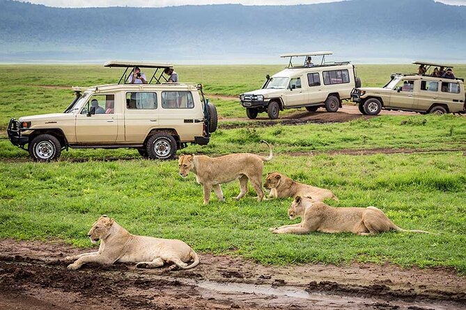5-Days Private Luxury Safari: Tarangire, Serengeti & Ngorongoro - Directions and Accessibility