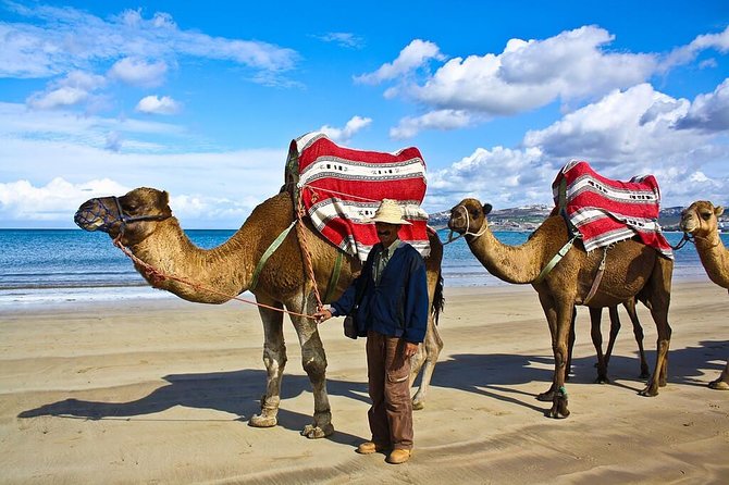 5 Days Private Tour Tangier to Casablanca via Chefchaouen Fes & Rabat - Booking and Reservation Instructions