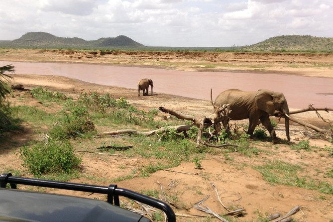 5-Days Refreshing Safari at Masai Mara, Lake Nakuru and Naivasha. - Pickup Details and Schedule