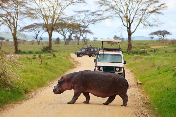 5 Days Tanzania Budget Camping Safari From Arusha