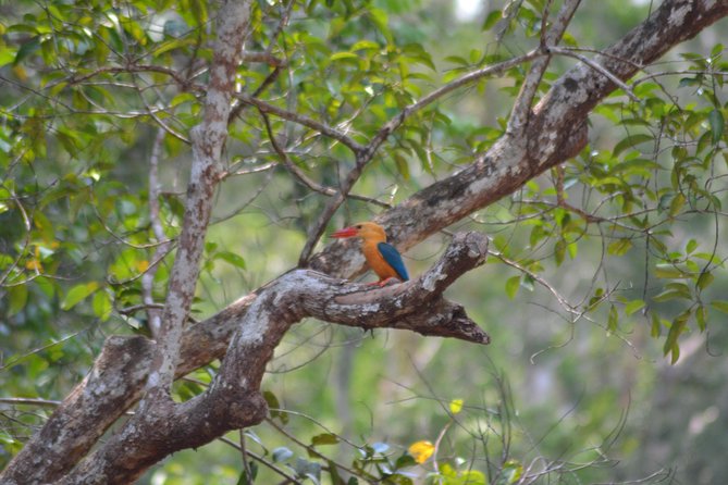 5 Days Truly Orangutan Wildlife Jungle Trail - Accommodation Details