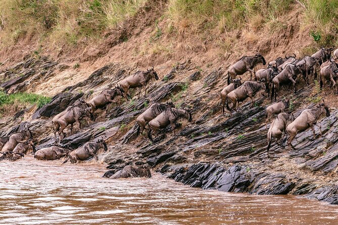 6-Day Private Tour in Samburu, Nakuru and Maasai Mara - Inclusions and Exclusions