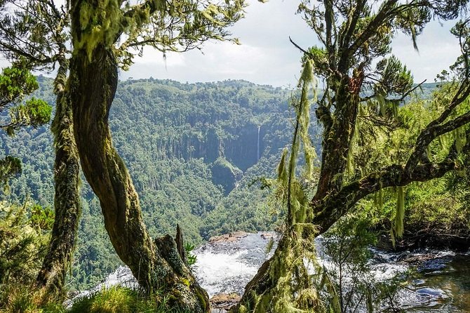 6 Days Aberdares, Lake Bogoria & Masai Mara Wildlife Safari - Itinerary Details