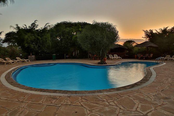 6 Days Kenya Luxury Safari 2024 - Safari Destination