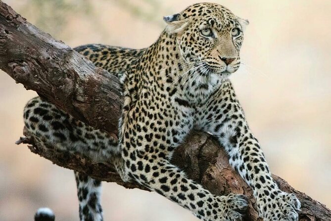 6 Days Private Tour With Two National Parks and More - Pricing Details and Guarantee