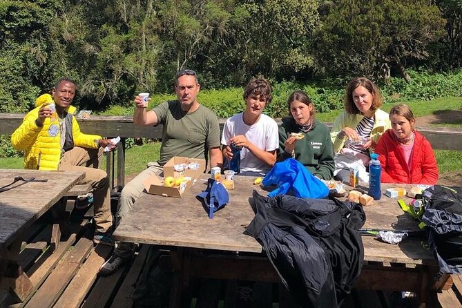 6 Hours Kilimanjaro Day Hike to Mandara Hut and Maundi Crater - Price Details and Guarantee