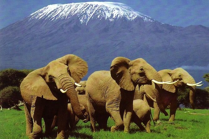 7-Day Amboseli-Lake Naivasha-Lake Nakuru-Masai Mara NP - Itinerary Overview
