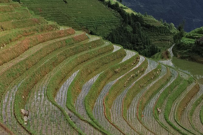 7-Day Private Tour From Chongqing to Guilin,Longji Terraces,Sanjiang & Yangshuo - Cancellation Policy Information