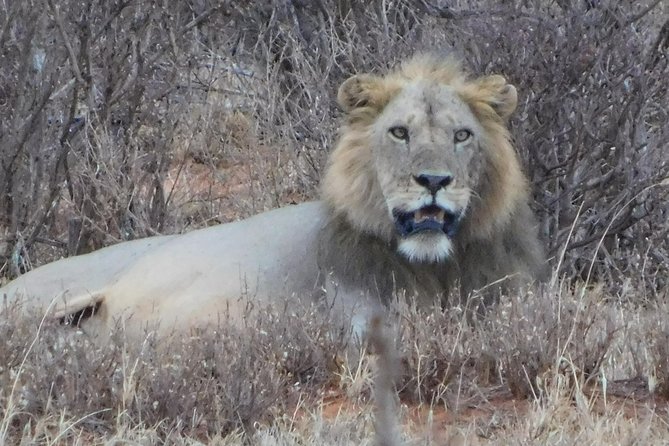 7 Days Bigfive Safari - NAIROBI - Itinerary Overview