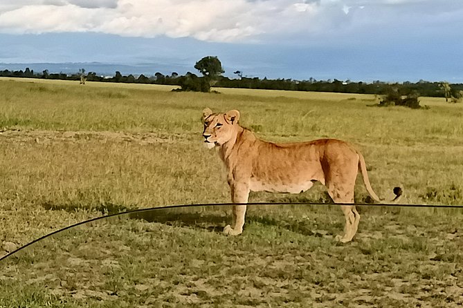 7 Days Salt-Lick Safari - Contact and Booking Details