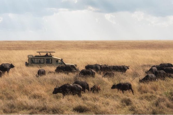 7 Days - Serengeti Wildebeest Migration Safari - Logistics Information