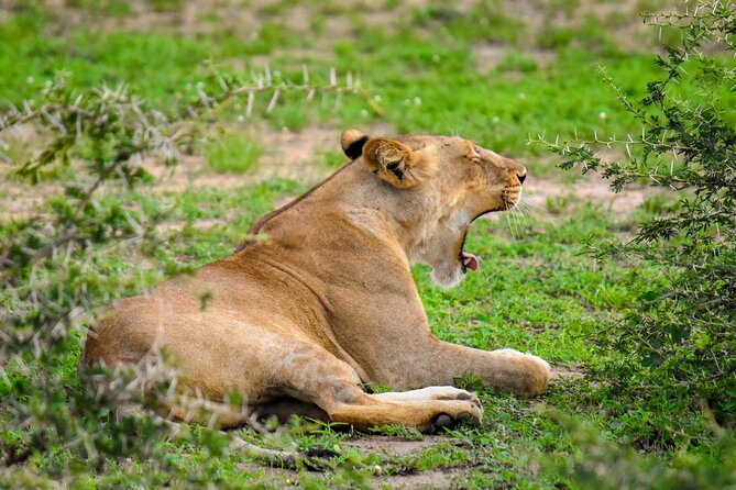 7 Days Uganda Primates and Wildlife Private Safari - Important Health and Safety Guidelines