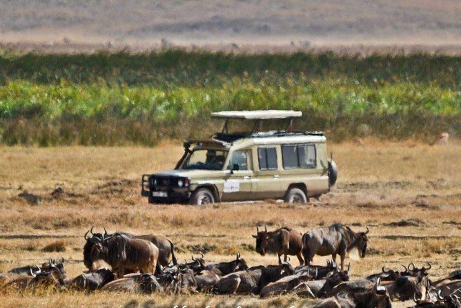 8 Days Budget Camping Tanzania - Camping Equipment Provided