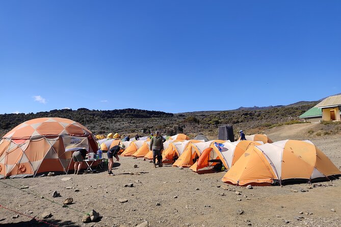 8 Days Mount Kilimanjaro Climb Lemosho Route - The Sum Up