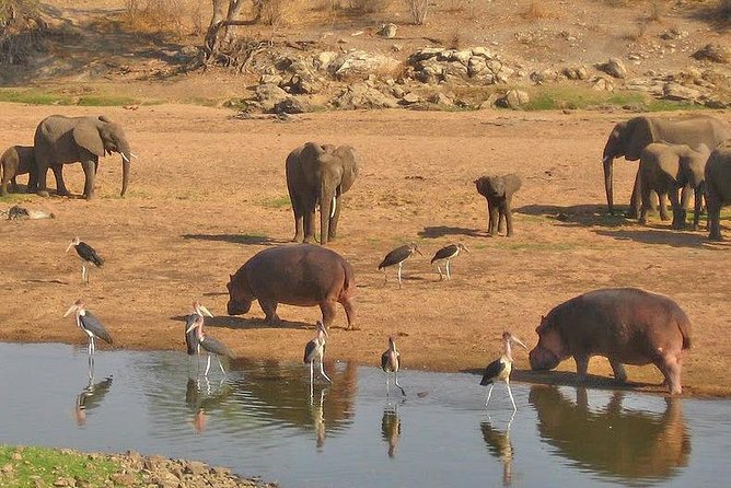 8 Days Tanzania Southern Circuit Safari - Accommodation Details