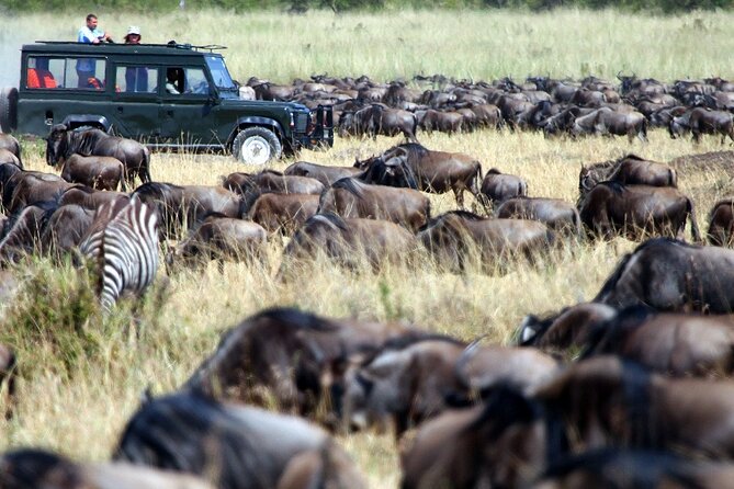 9 Days Best of Kenya Wildlife Safari on a 4WD - Tips for Travelers