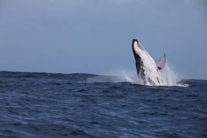 9 Days East of Madagascar Tour - Schedule and Operating Hours
