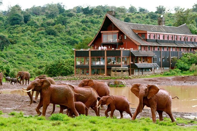 Aberdares National Park Luxury Lodge Safari 2days 1 Night Tour - Tour Overview