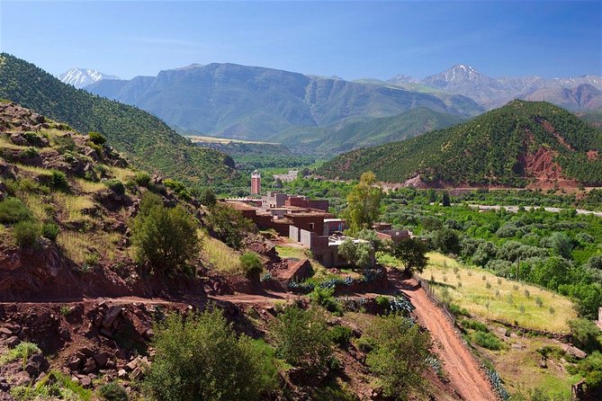 Agadir Day Trip : Paradise Valley + Hike in Mountains With Guide - Guide Services and Assistance