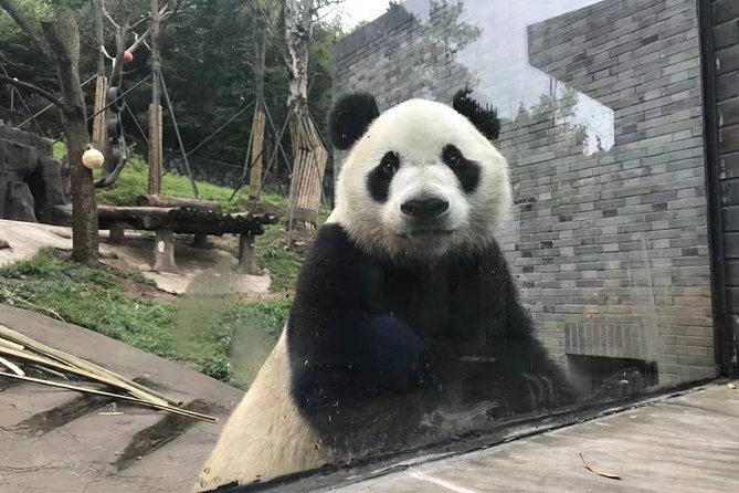 All Inclusive Customizable Chengdu Full Day Panda Tour - Pickup Details