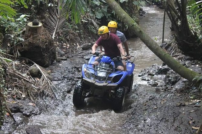 All Inclusive Ubud ATV Riding,Rice Terrace View & Ubud Swing - Activity Details