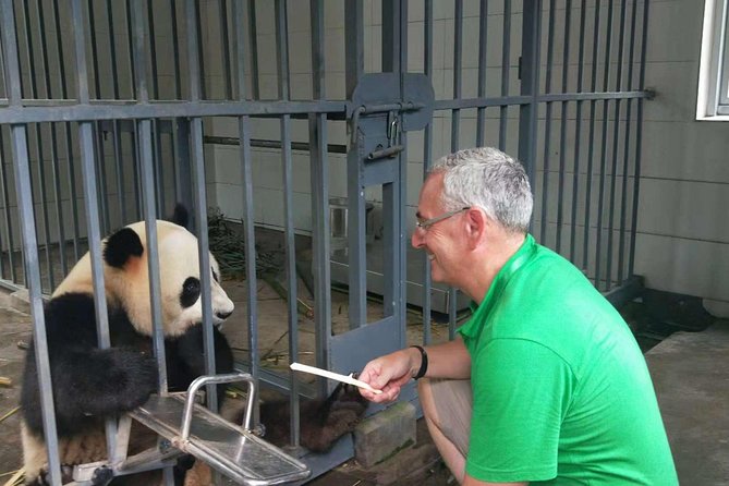 All Inclusive Wolong or Dujiangyan Panda Base Volunteering - Optional Baby Panda Holding