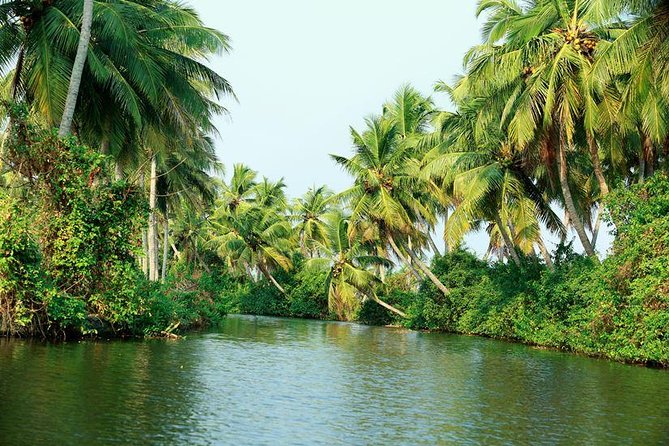 Amazing Half Priced Private Guided Tour in Kochi ! - Exclusions