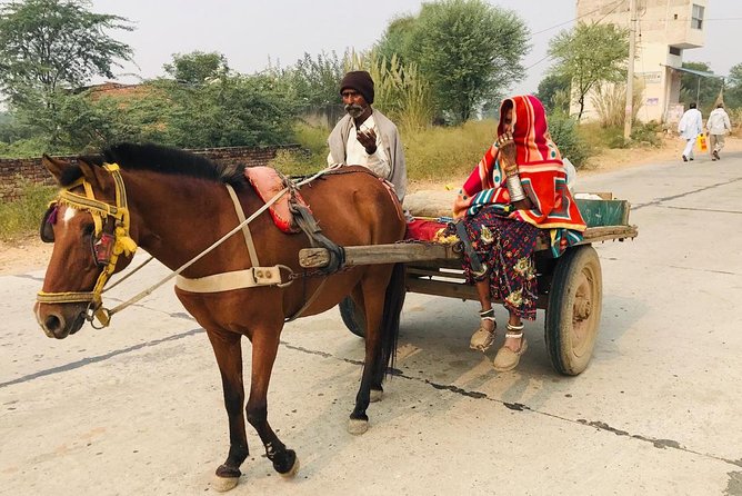 An Excursion Into Time: Day Trip to Neemrana From Delhi Including Lunch - Tour Overview